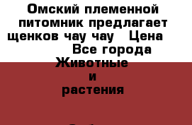 jОмский племенной питомник предлагает щенков чау-чау › Цена ­ 30 000 - Все города Животные и растения » Собаки   . Сахалинская обл.,Южно-Сахалинск г.